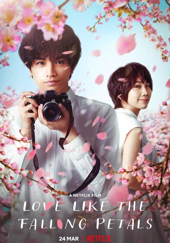 Love Like the Falling Petals                ใบไม้ผลิที่ไม่มีเธอเป็นซากุระ                2022